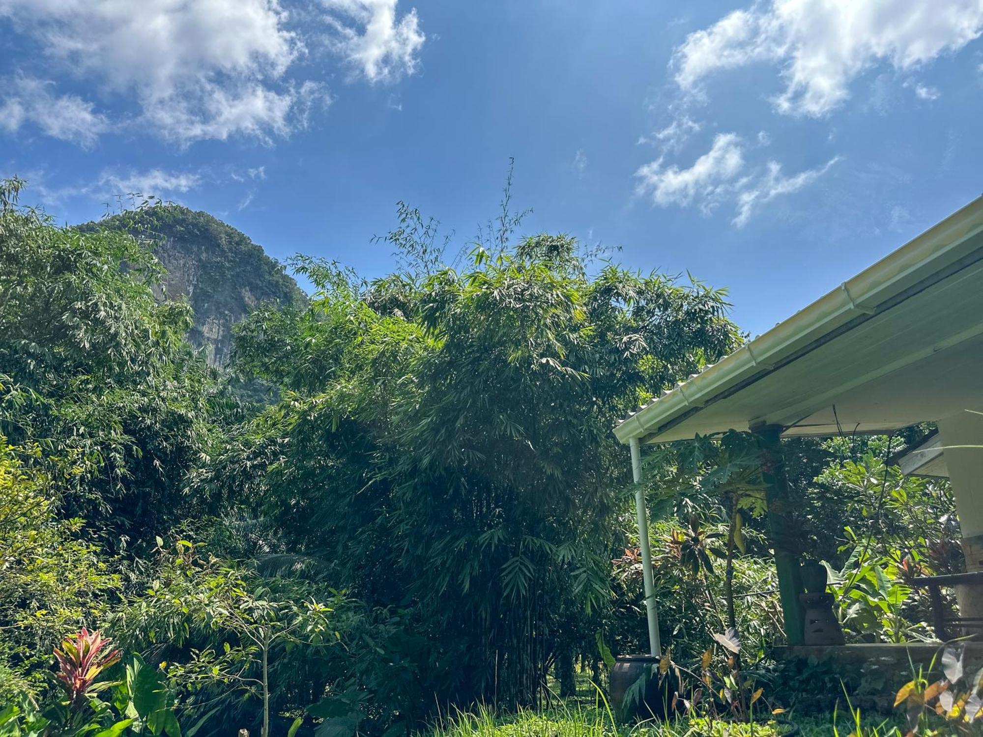 Baan Suanthip Homestay - Aoluek Natural Retreat Ao Luk エクステリア 写真